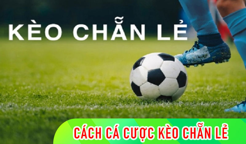 Kèo chẵn lẻ là gì? Tip chơi kèo chẵn lẻ bách chiến bách thắng